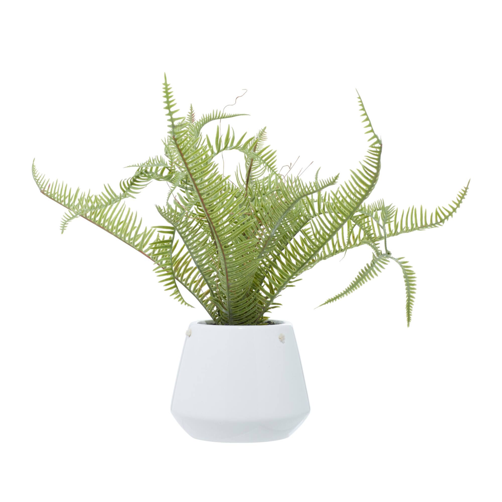 White Ceramic Contemporary Artificial Foliage, 18" x 16" x 14"